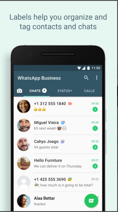 WhatsApp business apk features